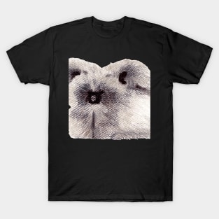 Fuzzy was he a bunny? T-Shirt